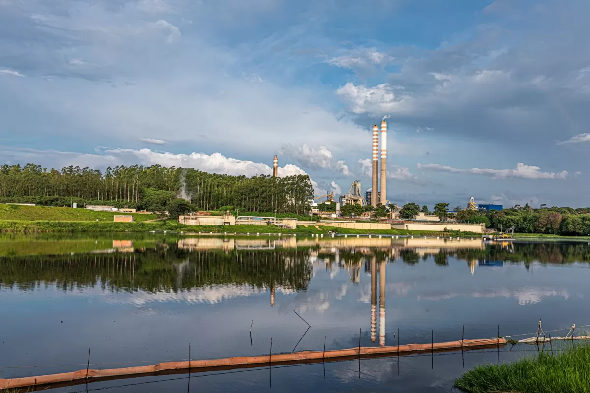  El futuro del libro: innovación, diseño y sustentabilidad marcan la 50° Feria del Libro